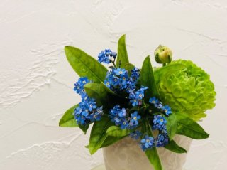 私を忘れないで…「ワスレナグサ」は涙を誘う悲恋の愛の花