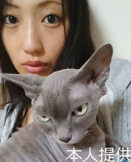 壇蜜さんが語る“猫愛” 飼い猫スフィンクスとの馴れ初めと今
