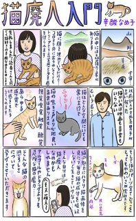 辛酸なめ子さんが図解！「猫廃人入門」あなたも当てはまる？