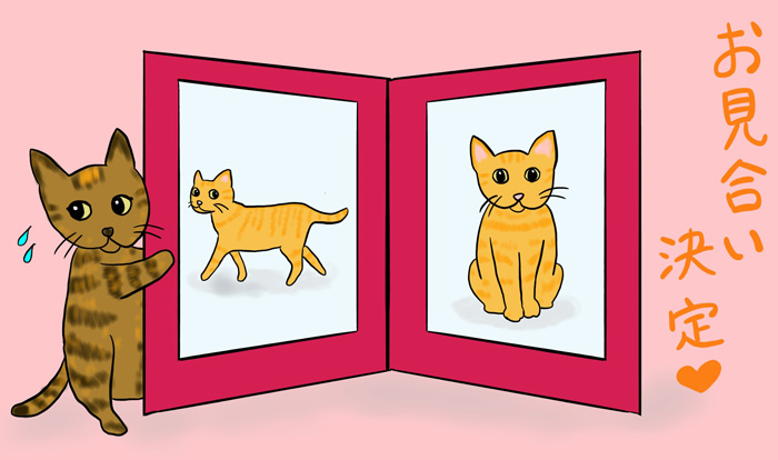 （イラスト:あも）