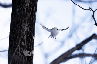 複雑な気持ち 2021.3.14（日）