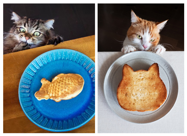 「のぞき見スタイル」が大人気（Ｃ）MARCO