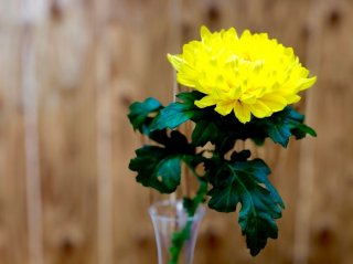 お盆と何が違うの？ アナタの心を整える“お彼岸のススメ”