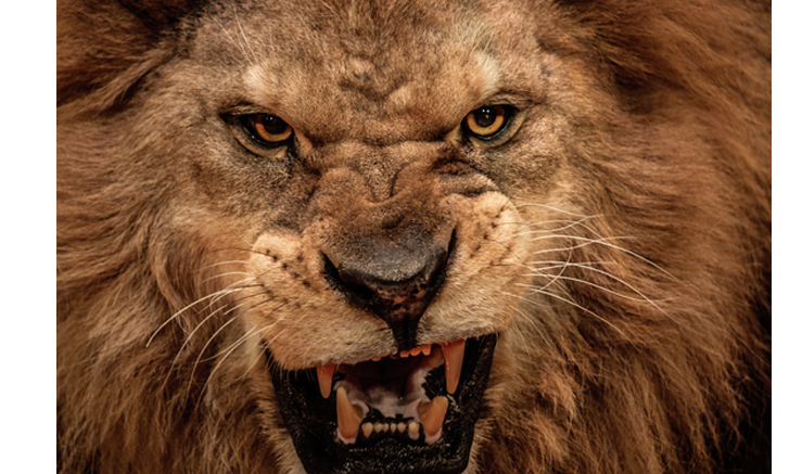 怖っ！（写真:iStock）