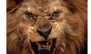 すぐ怒る彼氏に隠れた心理5つ＆怒ってしまった時の対処方法