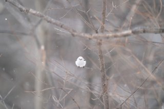 肉の日だ！ 2021.3.29（月）