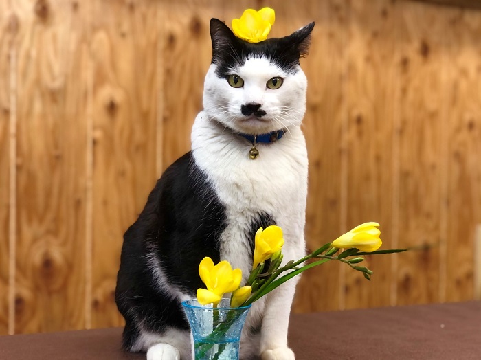 葉っぱをかじったら斑目ねーさんに「死ぬ気か！」ってメッチャ叱られた。ｂｙさぶ店長