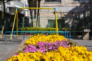 春色のブランコ 2021.4.1（木）