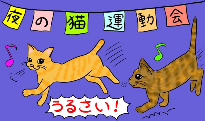 （イラスト:あも）