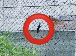 宿儺の指！？ 2021.4.7（水）