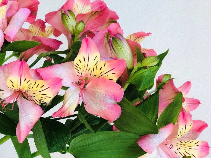 同期だった彼を思い出す…