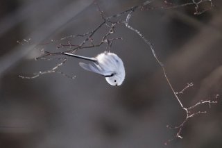 新生活どう？ 2021.4.8（木）