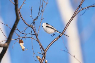 恵美子の日！？ 2021.4.13（火）