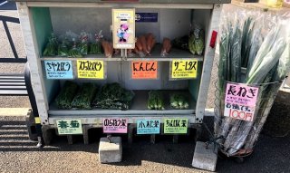 無人野菜販売所にハマってます♡ 2021.4.15（木）