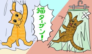 保護猫2匹、真夏の夜の“クローゼット閉じ込め”事件に遭う