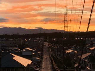 光刺す方を目指して歩こう 2021.4.20（火）