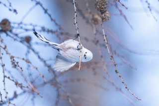 腹筋使ってる？ 2021.4.23（金）