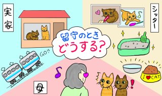 留守時の猫どうする問題！著者実践トラブル知らず3つの対応策