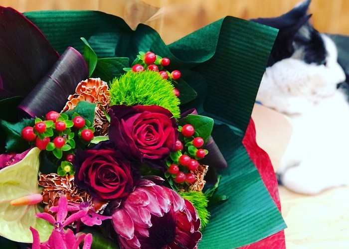 母の日の花はカーネーションばかりではないのでござんす