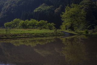 水田の静寂 2021.5.1（土）
