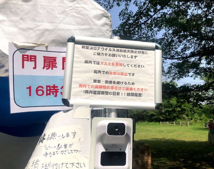 手のひらで測るタイプ（Ｃ）コクハク