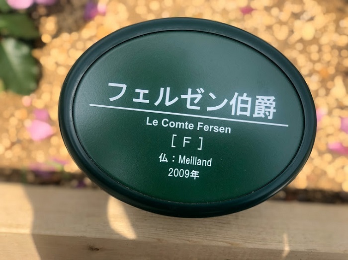 まさかのフェルゼン！（Ｃ）コクハク