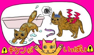 愛猫が誤飲疑惑！救急病院で手術してお腹から出てきたのは…