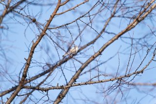 blueのドコ？ 2021.5.18（火）