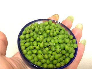 いい匂いすぎてずっとクンクンしてました（C）コクハク