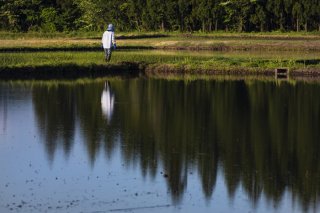 美しく静寂な空気に包まれて 2021.5.31（月）