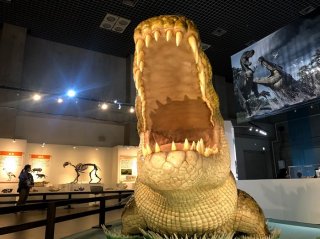 「大地のハンター展」で最強の“女の敵”に遭う 2021.6.9（水）