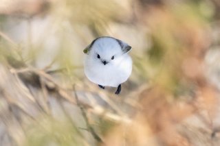 人の振り見て我が振り直せ 2021.6.7（月）