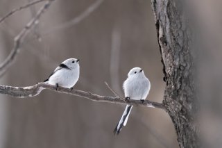 恋人の日 2021.6.12（土）