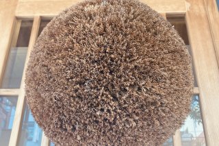 杉玉の前でネン、ネン 2021.6.13（土）