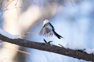 羽ばたけっ！ 2021.6.17（木）