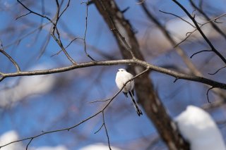 カニの日 2021.6.22（火）