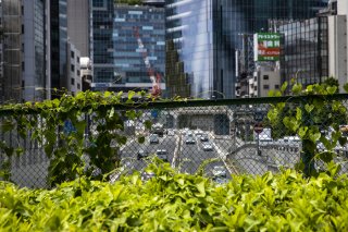 錯覚か、願望か。 2021.6.25（金）