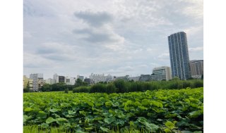 上野deポケふたゲットの後は… 2021.6.28（月）