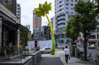 目立つような目立たないような？ 2021.7.5（月）