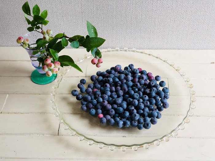 グラニュー糖をまぶして冷凍可能、 ヨーグルトやバニラアイスと相性抜群