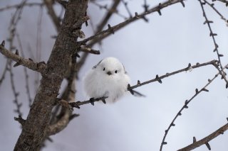 一粒万倍日 2021.7.12（月）