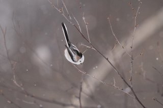 今年は海の日 2021.7.22（木祝）