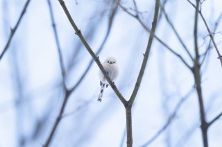 平和を願う 2021.8.6（金）