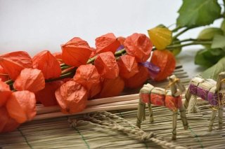 日本の夏…受け継がれる大事なしきたり「盂蘭盆会」って？