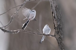 恋は盲目 2021.8.11（水）