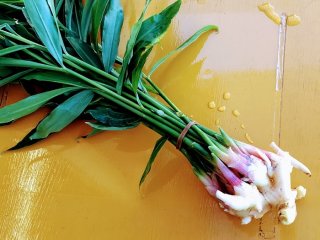 夏に最適！ さっぱりおいしい「酢ショウガ」2021.8.28（土）