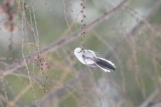 バイバイ、夏…？ 2021.8.31（火）