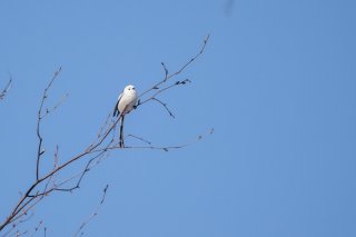 国民栄誉賞の日 2021.9.5（土）