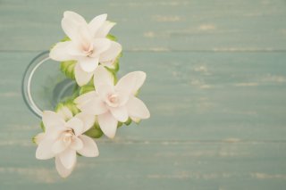 もう一つの花言葉は「乙女の香り」（写真:iStock）