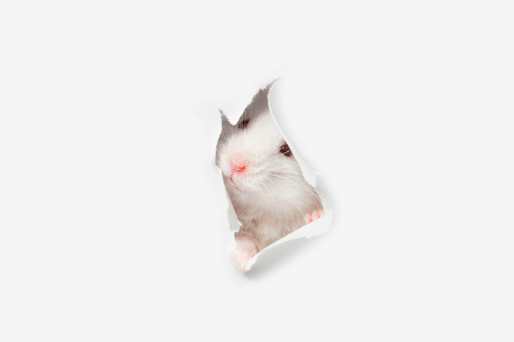 今はじっと我慢…（写真:iStock）